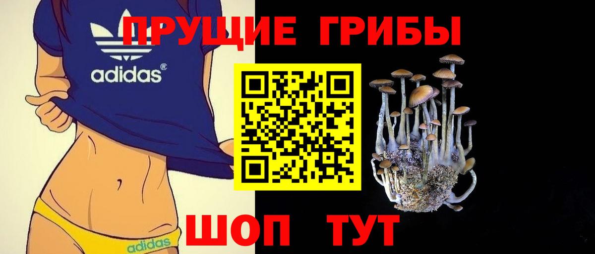 Галлюциногенные грибы Cubensis  Вход с VPN  Северск 